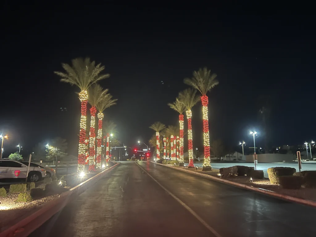 Trees wrapped in Christmas lighting for a commercial apartment complex in Las Vegas
